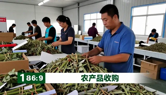 连锁门店变化带来的农资供应等需求