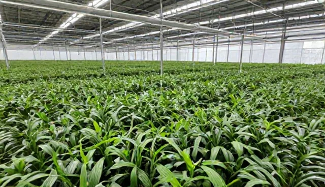 农机服务使用误区及性能分析要点